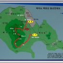 백야태양광발전소 이미지