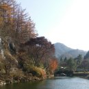 솔치송어파티 | 2016. 11. 12-원주 솔치송어파티