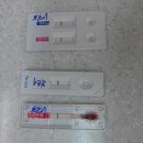 청솔동물병원 이미지