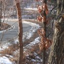 문성자연휴양림 이미지