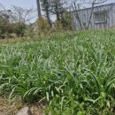 영평농장 이미지