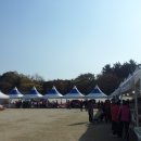 서구구민운동장 이미지