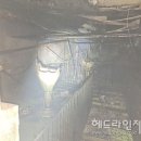 한림읍 마리 헤드라인제주