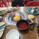 꼬리치는장어;산곰장어