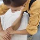 창신대학교 미용예술대학원 | 미용대학 4년제 vs 전문대 차이 | 나에게 맞는 진학 루트는?