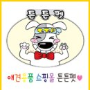튼튼펫