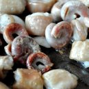 할머니네딸숯불곱창마을 이미지