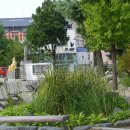 남대구초등학교 이미지