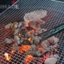 고기구워 티스토리