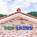 자양보오토캠핑장 이미지