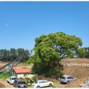 중부-현장-중부-1833 이미지