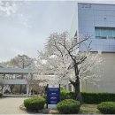 오늘의부동산공인중개사사무소 | 신뢰와 책임감이 돋보이는 영남대부동산 정철공인중개사사무소 소개