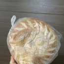 훤칠한고양이 이미지