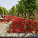 대전도시철도공사 신흥역 이미지