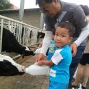 와우목장 이미지