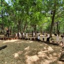 부영어린이집 이미지