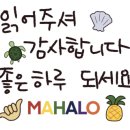 하얀수입품 이미지