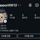 hododog(호도독) 이미지