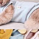 순대만족 이미지