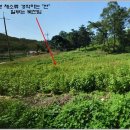 양사면-3 이미지