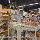 토이샵 | [천안] 신부동 가볼만한 곳ㅣ천안 쿠지, 굿즈샵 '토이하루' 방문후기