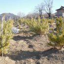 남송농장 이미지