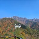 단풍막창
