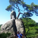 갈매기노래연습장 이미지