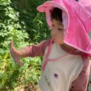 햇빛어린이집 이미지