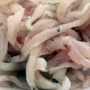 참가자미 할매 이미지