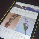 노웨어하우스 | 성수 하우스노웨어 누데이크 티하우스 후기