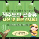 한라기획 - 제주시 조천2길 25 | 한라기획
