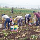 득량농민상담소 이미지