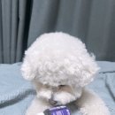 이은메디 이미지