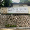 안성젓갈 | [식사] 광화문 회식 추천, 삼합과 생태탕이 있는 안성또순이 후기