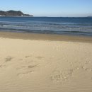 포스코세탁소 | [포항편🌊] 포항항 포항항 :)조용히 잔잔한 공간들 | 퐝! 겨울 여행지 내돈내산 카페•맛집 추천...