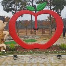 청송사과테마파크 이미지