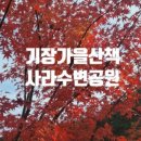 대라리헐타시장통닭 네이버블로그