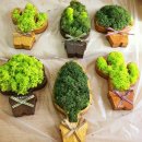 법원읍 행정복지센터 이미지