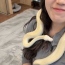 기배동주민센터 3층 | [홍대 동물 카페] 쥬민센터 방문 후기, 동물친구들과의 하루