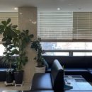 화곡명문약국 이미지