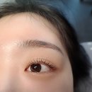 다온래쉬 이미지