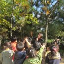 새인예유치원 이미지