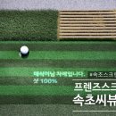 프렌즈스크린속초씨뷰점 이미지