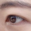 [마포구청/망원] 미호속눈썹연장 망원점 속눈썹펌 후기 (1:1시술)