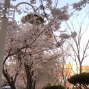 도원중학교 이미지