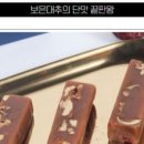 보은삼가대추농원 이미지