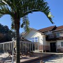 더인 풀빌라 | 대부도 온수풀빌라 새해에 찾은 신축펜션!