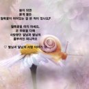 별님과달님 이미지