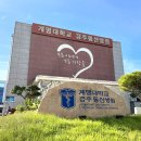 동산 노컷뉴스